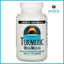 소스내추럴스 메리바 커큐민 심황 강황 추출물 고흡수율 500mg 120캡슐, 2병