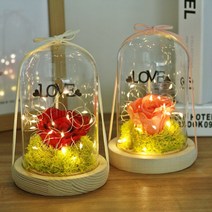 프리저브드 장미 LED 플라워 유리돔 무드등 여자친구 선물 기업 감사 축하 행사 졸업식 부부의날 결혼, 레드 장미 프리저브드