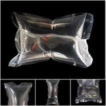 물고기 금붕어 키우기 포장지 밀봉 밀폐 봉지 10장, 1피쉬비닐16X20cm10p