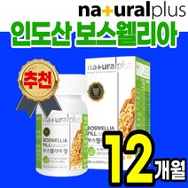 먹기편한 간편한 100% 인도산 보스 웰리아 정 알약 캡슐 보쓰 엘리아 윌리아 보수엘라 식물성 가루 분말 관절 연골 부모님 50대 60대 70대 추천 홈쇼핑 손목 무릎 무릅 손가락, 6통(12개월)