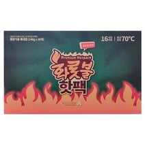 프리미엄 화롯불 대형핫팩 140g X 30입, 단품