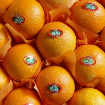 [초록이네] 제주황금향 제주도황금향 산지직송, 가정용 3kg, 1개