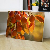 tl337-폼아크릴액자58CmX38Cm_풍수가을감나무