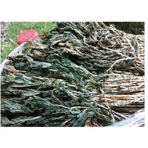 유기농 시래기 건시래기 무청시래기 100g 500g, 유기농시래기 100g