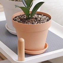 사무실 이전선물용 미니화분 작은화분 집꾸미기, 브라운