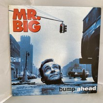 MR BIG LP / 엘피 / 음반 / 레코드 / 레트로 / AA2710