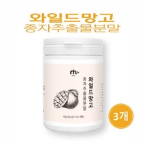 와일드망고 분말 가루 야생 아프리칸 망고 씨앗 종자 100% 렙틴 아디포넥틴 효능 추천, 3개, 200g