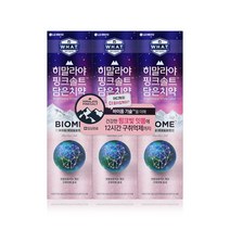 댕Ol몰 히말라야 핑크 솔트 담은 치약 100g 바이옴테크놀로지향, 6개입