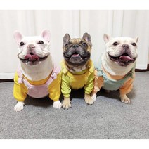 (토토네) 골덴 멜빵 올인원 푸들 비숑 포메 말티즈 프렌치불독 슈나우저 웰시코기 닥스훈트옷 중형견옷 소형견옷S-2XL TO-00021, 그린