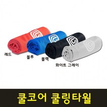 쿨코어 냉감 아이스 습식 스포츠 쿨타월 쿨링타월 타올수건 65x20, 블랙, 본상품선택