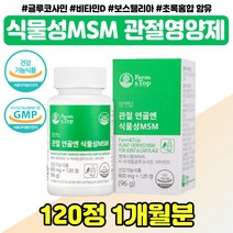 엠에스엠 NAG 초록입홍합 무릎 어깨 팔 조인트 프리 엠에스엔 비타민 d 디 뼈 영양제 상어 연골 40대 50대 MSM 글루코사민 보스헬리아 손목 손가락 관절 영양제 60대 70대, 식물성 MSM 1통