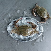 [2022첫출하]서해직송 서천 가을 활꽃게 2kg, 단품