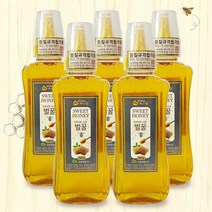 강원양봉 허니쉼 사양벌꿀 500gx5통/튜브, 5개, 없음