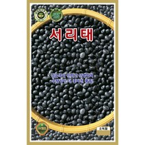 서리태 콩씨앗 30g KS종묘 23년, 1개