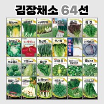 황보배추 300립 / 배추씨앗 배추씨 쌈배추씨앗 쌈배추씨