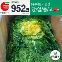 <해돋이농산> 국내산 봄동 봄동배추 쌈배추봄동 1kg 3kg 5kg 10kg, 1개” class=”wr-img”></a></div>
</div>
</div>
</div>
<div class=