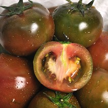 보성 산지직송 흑토마토 2kg (20~25개내외), 단품