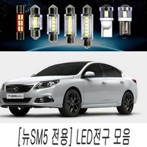 LED 전구 모음 뉴SM5 플래티넘 임프레션 실내등 DIY, 1개, 쿠팡 T10타입(1개)