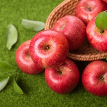 하르방마켓 최상급 청송사과 꿀사과 청송 사과 설선물세트 과일 직거래 햇사과 꿀사과 가정용 선물용 못난이 흠집 중과 대과 특대과 부사 홍로 명절 설 구정 추석 선물 세트, 4. 선물용 대과 5Kg (16과내외)