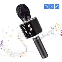 공연용 무선 마이크 노래방 핀 블루투스 유튜브 핸드 휴대용 led 스피커 ktv 플레이어 스피커 선물, 검은색