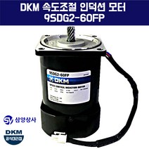 DKM 속도조절 인덕션 모터 9SDG2-60FP-C 단상 220V 15파이 감속기타입