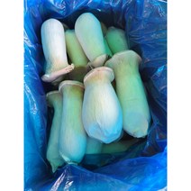 #가락시장 나물이네# 새송이버섯 500g내외/오후2시이전주문당일출고99%/주말 공휴일제외, 500g