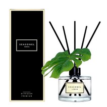 시즈넬 플라워 디퓨져 200ml 몬스테라 조화, 레몬향