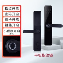 현관중문 스윙도어 단독주택현관문 방범문 가정용 출입문 안전방 문 중문 실내 개조 환기창, 21 태블릿 지문 잠금