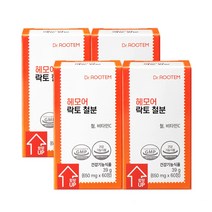아이언츄 츄어블 젤리 철분제 엽산 비타민C 비타민D 2개월분, 60캡슐(2개월)