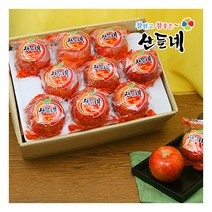 [산들네] 세척사과 2kg 9과내 (중과)