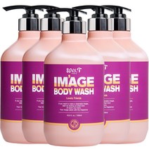 위스티 이미지 향기 좋은 등드름 완화 바디워시 러블리프렌즈 500ml, 5개
