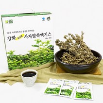 강화약초 강화사자발쑥 진액 건강즙 100ml 120개 [2박스], 2박스