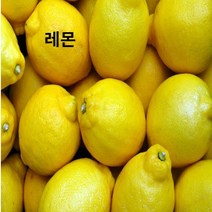 국내산 덜매운 봉동 세척생강 홈 카페 음료 만들기 3kg 5kg 10kg, 썬키스트 레몬 15개