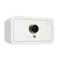 엘르시 가정용 와이드형 지문인식금고 ELS-430F, 화이트