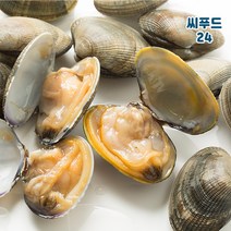 피바지락 500g 캠핑 조개구이 바지락 조개탕 참바지락 신선함 그대로 냉동, 씨푸드24 냉동피바지락 500g