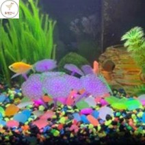 둘째언니 어항인조돌 수족관꾸미기돌 어항장식돌 야광자갈, 색상, 그린