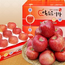[은하수농장] 가정용 꿀사과 특가판매, 1박스, 17.가정용흠과 사과 10KG / 대과