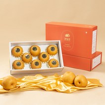 과일꾼 22년 갓 수확한 나주배 선물세트, 1box, 선물용 5kg 10과내