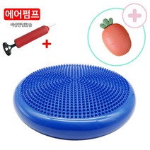 큐러스펫 강아지짐볼 쿠션 밸런스볼 슬개골 운동기구+반려동물 샤워브러쉬, 블루