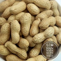 피땅콩 280g 까먹는땅콩 견과류 부럼 간식 정월대보름, 단품