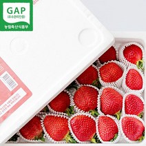 옳음 GAP 인증 고당도 논산 설향 딸기 산지직송 900g 1박스, 설향/특(4호)/30구/900g/일반포장