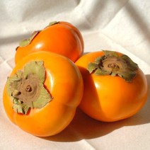 파몰 - 한알 정성 햇 감 청도 반시 진영 단감 대봉감 홍시, 단감 중과 2.5kg (12~14과)