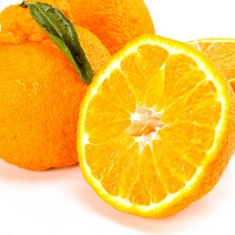 (최상품) 제주한라봉 제주 명품 한라봉 소과 중과 대과 가정용 선물용 과일세트 선물 세트 3kg 5kg 10kg, (5) 제주 한라봉 중소과 5kg