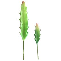 (주)아트인 인조 다육이(화이트고스트), 대
