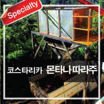 오월의숲 코스타리카 몬타나 따라주 스페셜티 원두커피, 1Kg, 1.홀빈(분쇄안함)