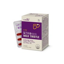 웰라이프 밀크씨슬 B파워 700mg 30캡슐 1개(1개월분), 웰라이프 밀크씨슬 B파워 700mg 30캡슐 1개(1개