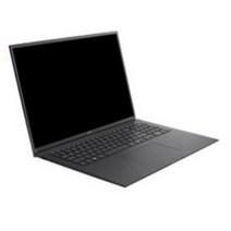 LG전자 2021 그램 17, 옵시디안 블랙, 코어i5 11세대, 256GB, 16GB, WIN10 Home, 17ZD90P-GX5LK