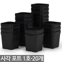 플라스틱 사각포트 3호 10개 - 모종판 화분 연결포트 모종 다육포트 트레이 재배 씨앗 연결포트 묘목 모판 화분 다육이, 04_세인_사각포트(1호) x 20개