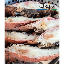 제주 부채새우 1kg k 랍스터 딱새우본사 제주한림수산