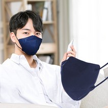 에어에이드 퍼스널컬러 2D 마스크 새부리형 대형, 1개입, 100매, 네이비